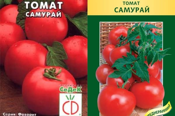 graines de tomates samouraï