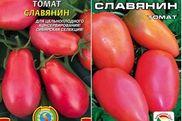 tomato seeds Slav