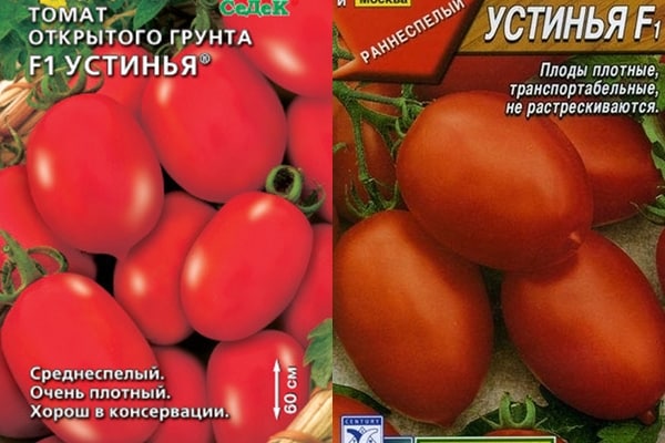 Ustinya tomato seeds