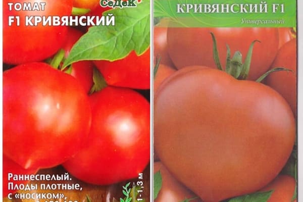 biji tomato Kriviansky