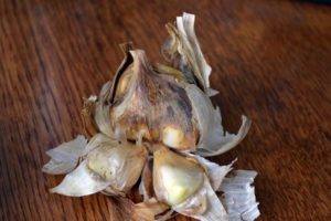 The reasons why garlic rots in the garden: what to do and how to deal with it?