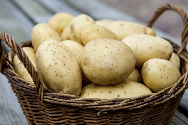 potato fruits