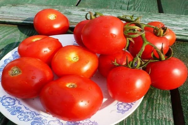 Tomato Alhambra