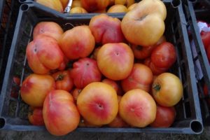 Description de la variété de tomate Big Rainbow, ses caractéristiques et sa productivité