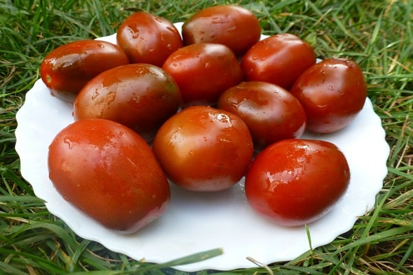 tomate pruneau