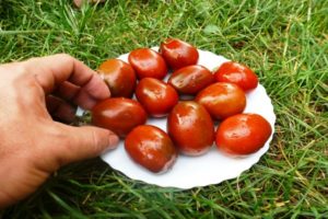 Descripción de la variedad de tomate Ciruelas, recomendaciones para su cultivo y cuidado.