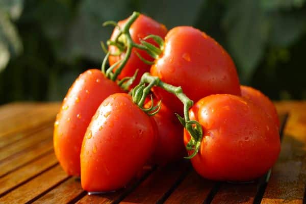 tomato on the table