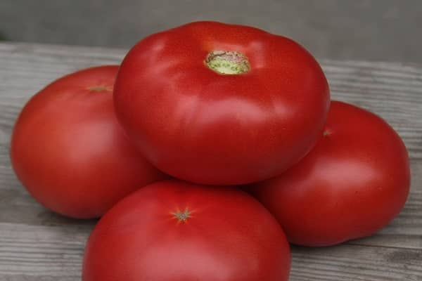 seeds for seedlings