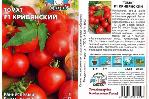 penampilan tomato Kriviansky