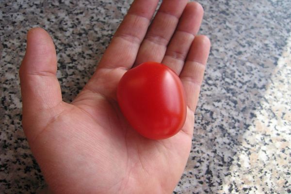 sucette aux tomates