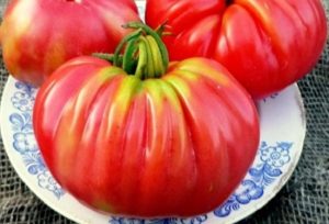 Description of the variety of tomato Rosamarin pound, features of cultivation and productivity