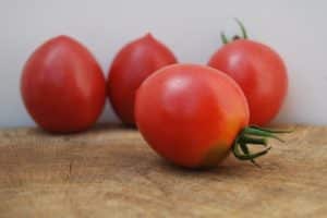 Description de la variété de tomate Slavyanka, ses caractéristiques et sa productivité