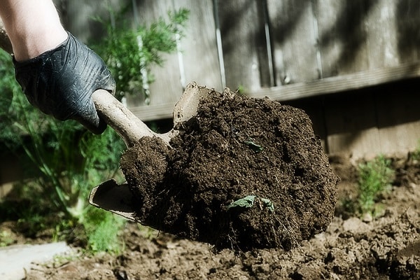 digging the ground