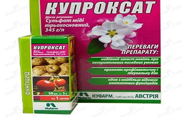 koristiti fungicide