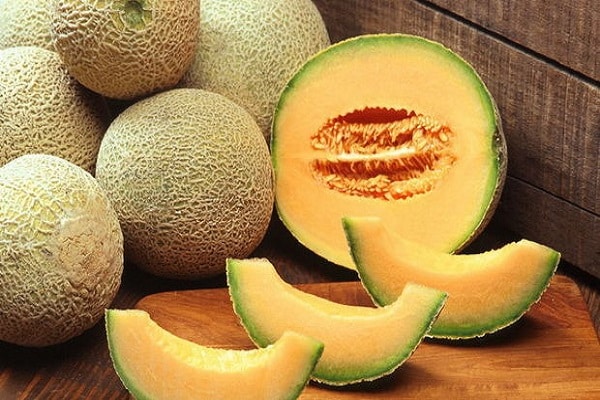 melon de l'Altaï