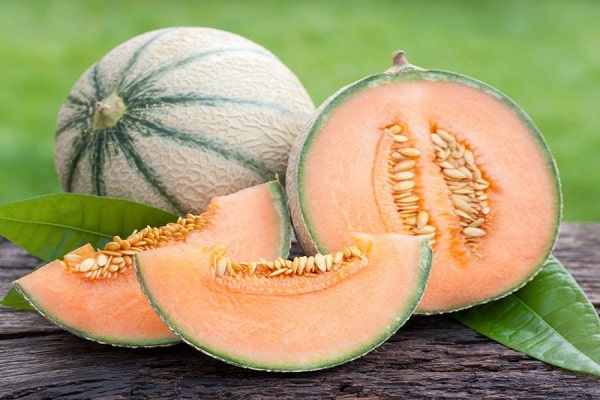 melon cantaloup