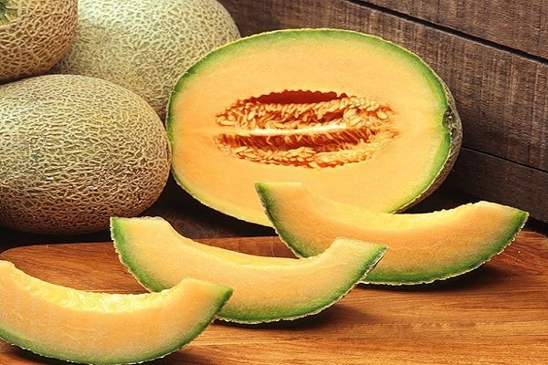 variétés de melon