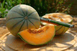 Kuvaus melonilajikkeesta Cantaloupe (Musk), sen tyypeistä ja ominaisuuksista