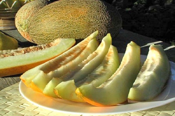 tu ne peux pas manger