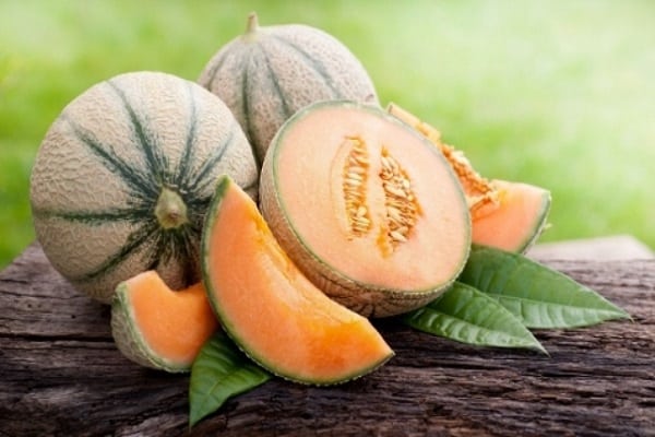 melon pulp