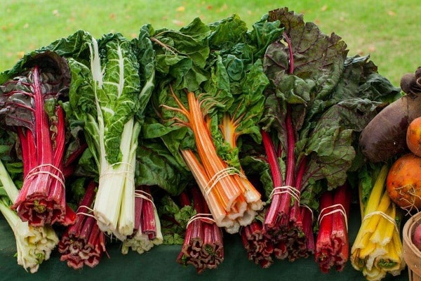 beetroot chard