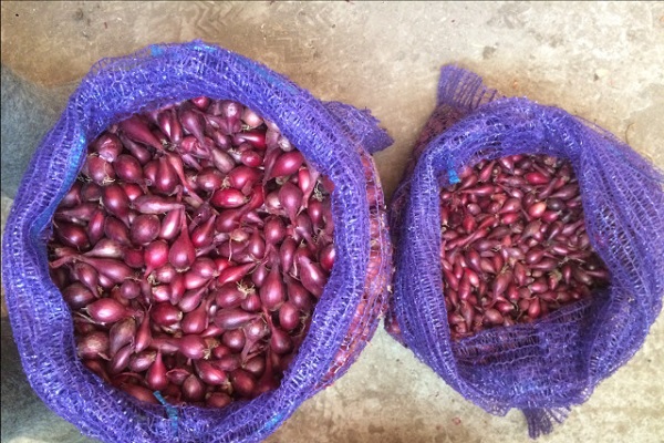 seeds on heads