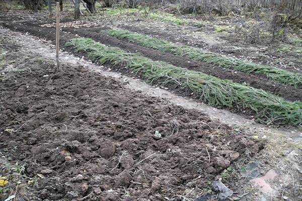 sièges pour atterrir