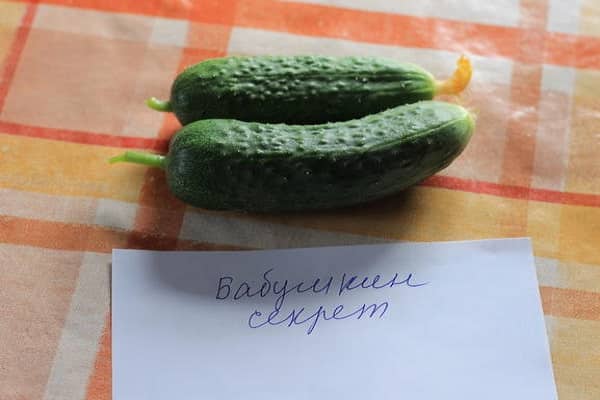 cucumbers represent