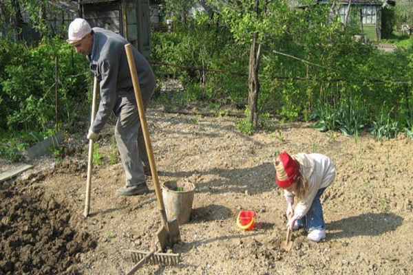 připravenost půdy