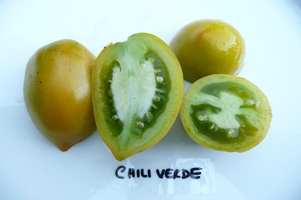 pelbagai jenis tomato