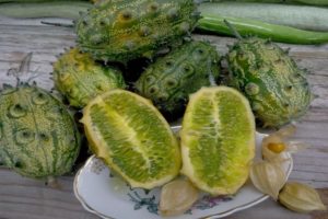 Variedades de melón cornudo (Kiwano), sus características, descripción y cultivo.