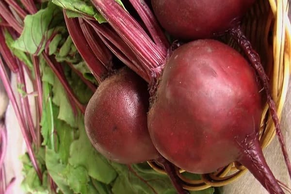 beet description