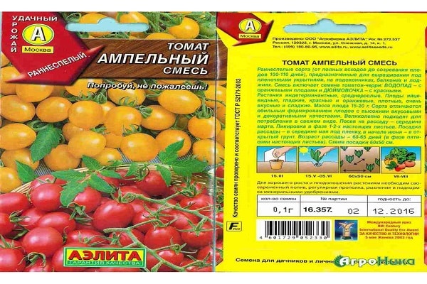 tomato ampel