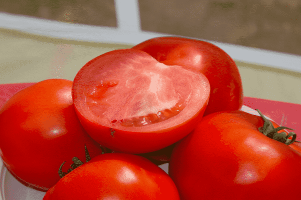 buah-buahan yang belum masak