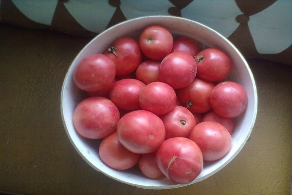 verduras maduras