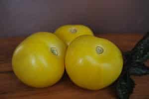 Description de la variété de tomate Boule jaune, caractéristiques de culture et d'entretien