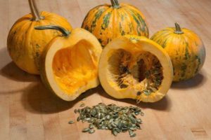 Description of gymnospermous pumpkin variety, its characteristics and cultivation