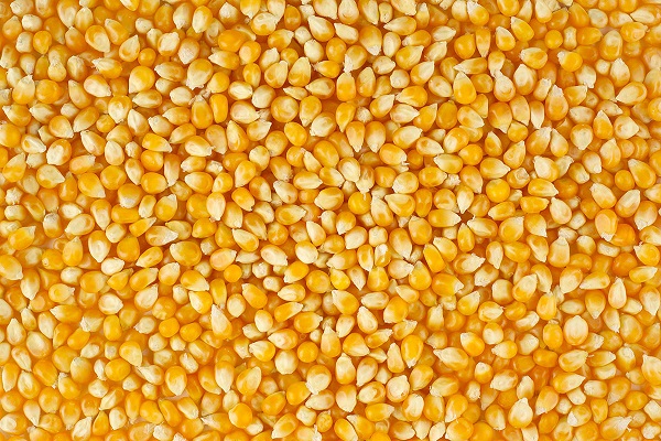 storage on the cob