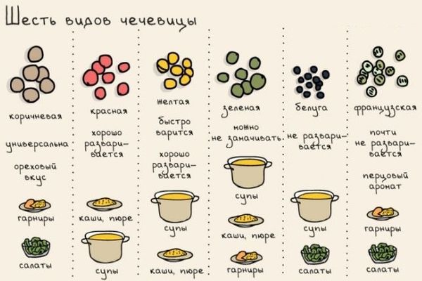 types of lentils