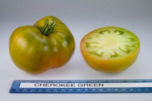 Description de la variété de tomate Cherokee vert doré, caractéristiques de culture et de soins