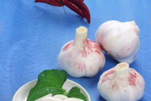 Description of the reliable garlic variety, features of cultivation and care