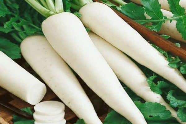 white radish