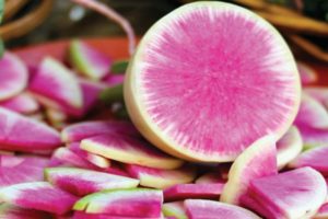 Penerangan mengenai pelbagai daikon kilauan Misato Pink, ciri penanaman dan penjagaan