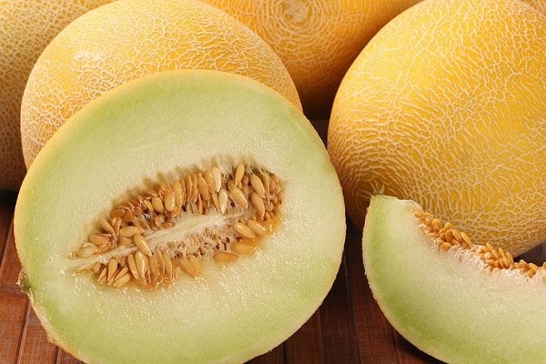 melons et gourdes