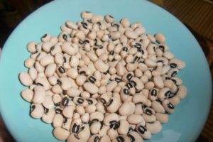 Description of the Black Eye bean variety, cultivation features and yield