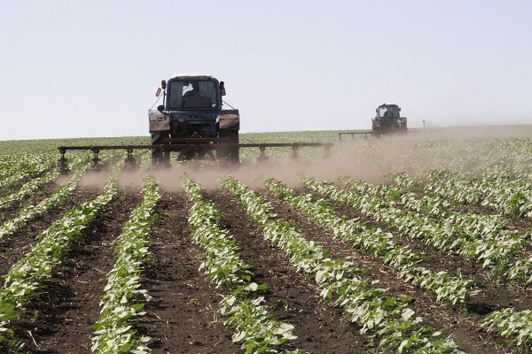 período de germinación