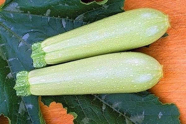 zucchini on the floor