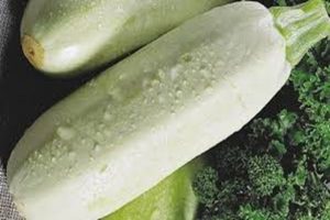 Description de la variété de courgettes Rolik, caractéristiques de culture et d'entretien