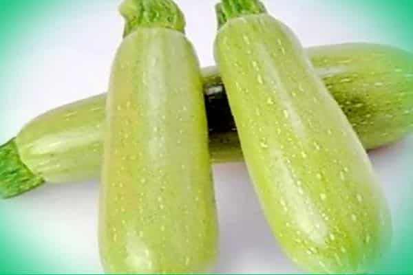 courgettes sur la table