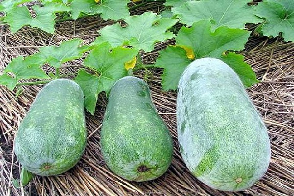 vegetables and fruits